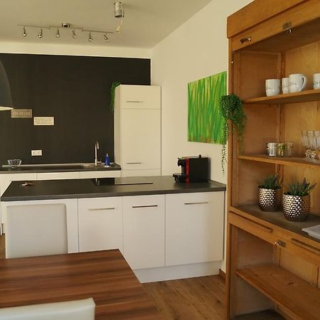 Loft Style 3 Room Apartment + Terrace Villingen-Schwenningen Extérieur photo